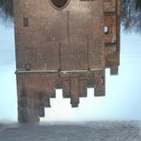 Wall I Was album art