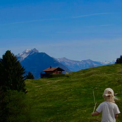 Seattle Soul Homegrown in the Alps album art