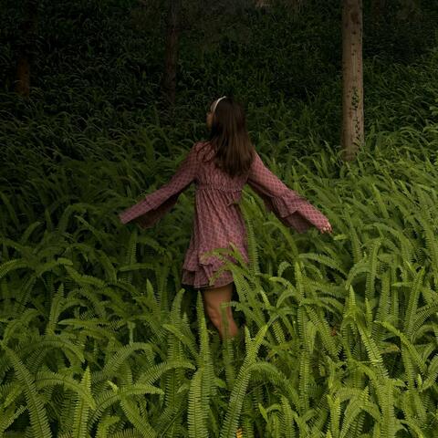 Venis y Vas album art