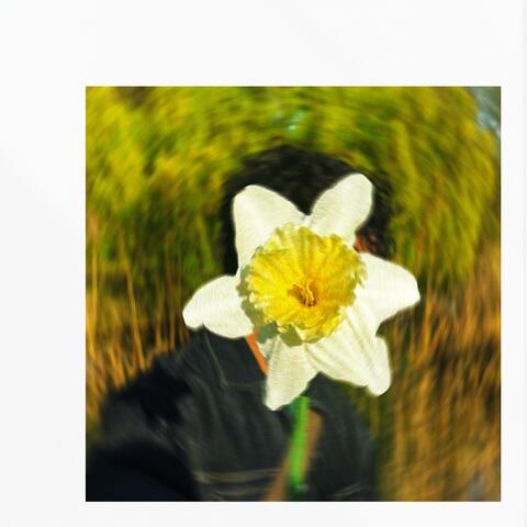 Botanical Ambient Works album art