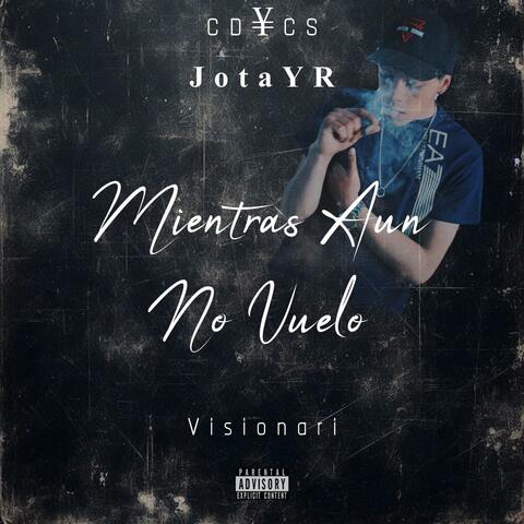 Mientras Aun No Vuelo album art