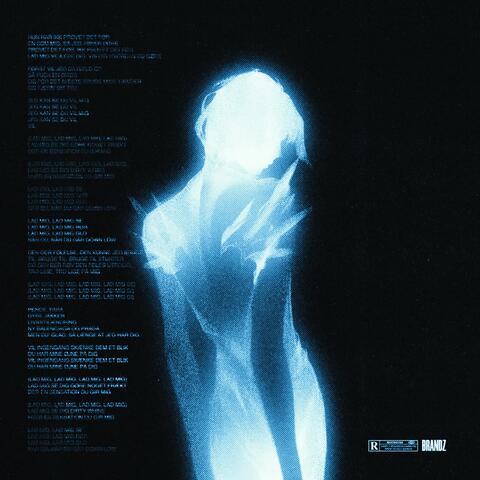 LAD MIG album art
