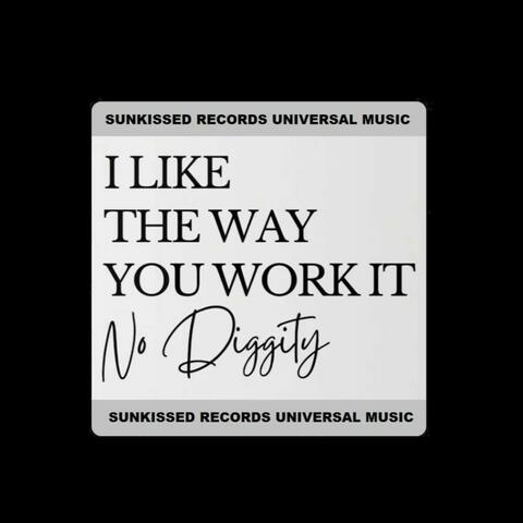 No Diggity (SK REMIX Remix Radio Edit) album art