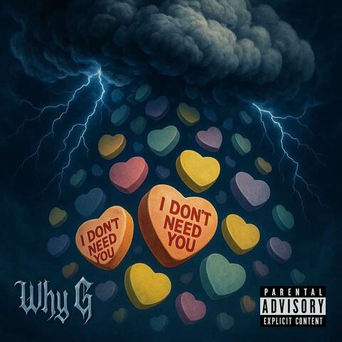I Don't Need You album art
