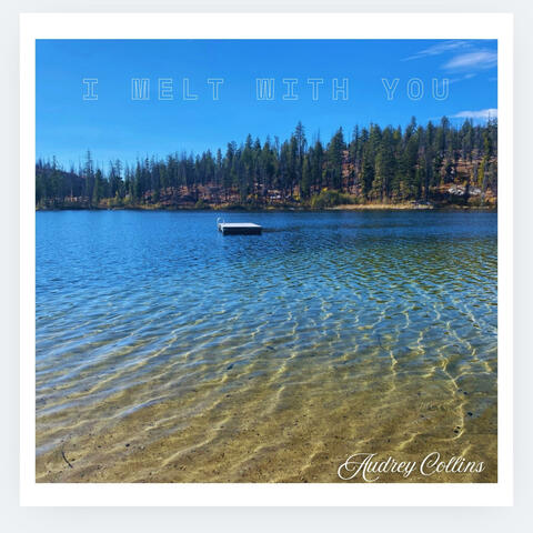 I Melt with You album art