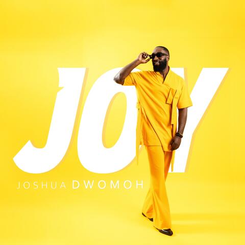 JOY album art