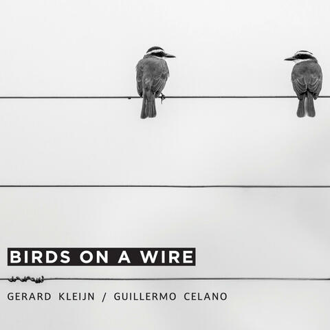 Birds On A Wire album art