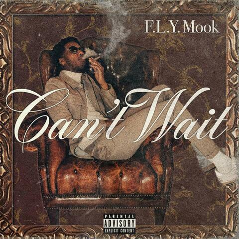 Can't Wait album art