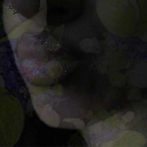fleur noir album art