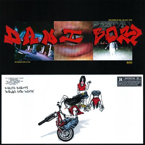 dani boy album art