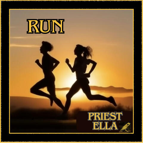 Run (Radio Edit) album art