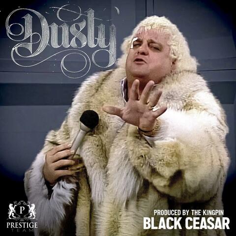 Dusty album art
