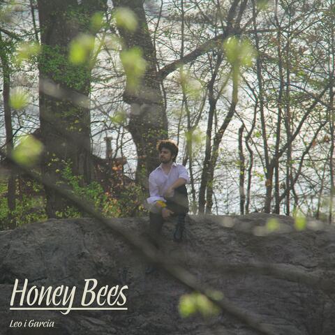 Honey Bees album art
