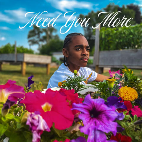 Need You More album art