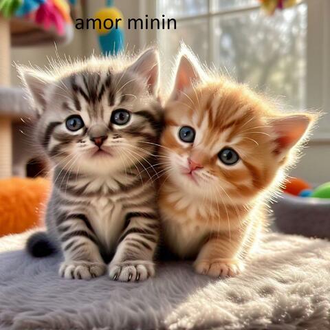 Amor Minin album art