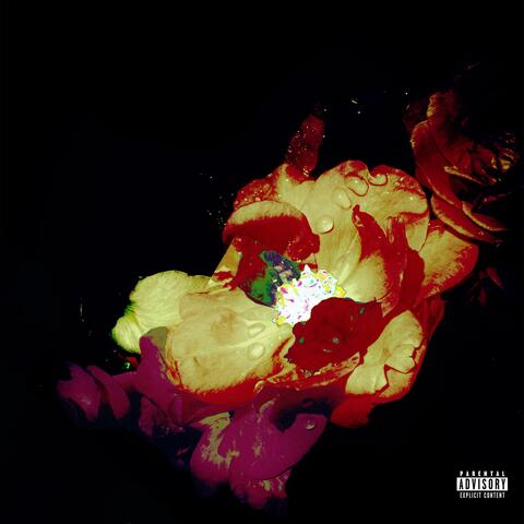 Flowers album art