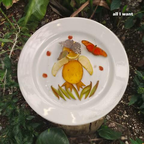 all i want album art