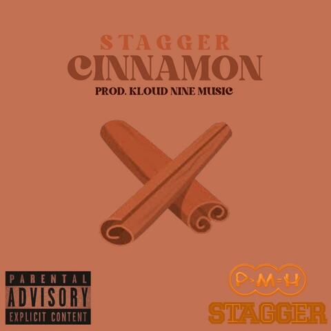 Cinnamon album art
