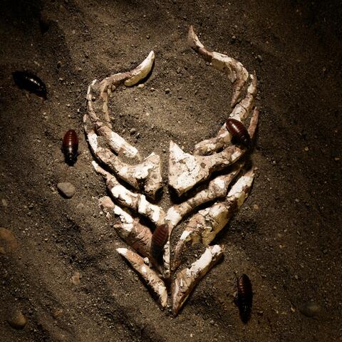 I'm Done album art