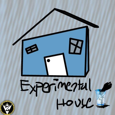 Experimental House album art