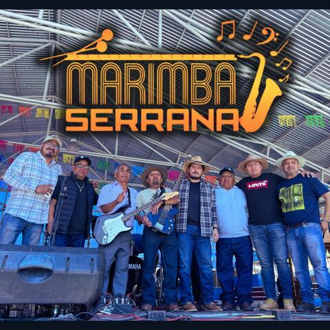 MS En Vivo Carnaval 2025 album art