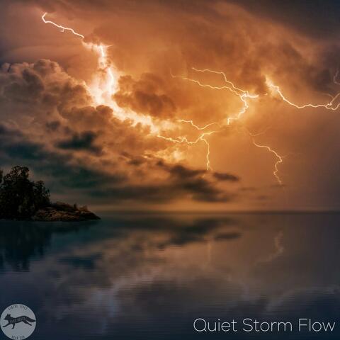 Quiet Storm Flow album art