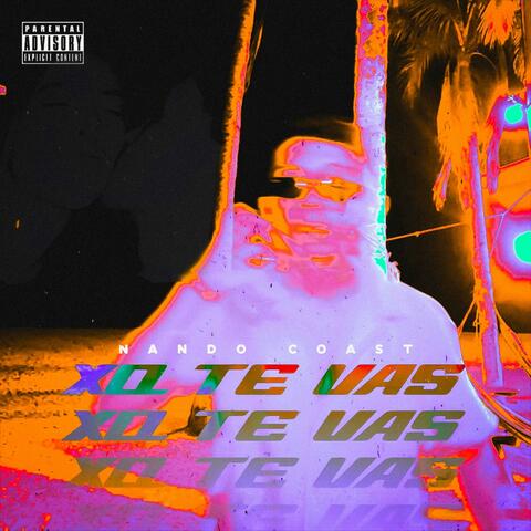 XQ TE VAS album art