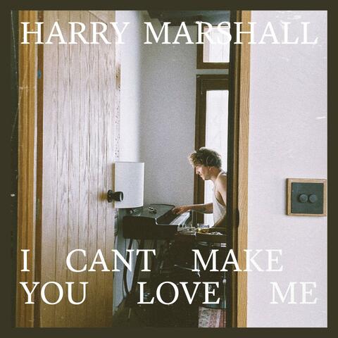 I Can't Make You Love Me album art
