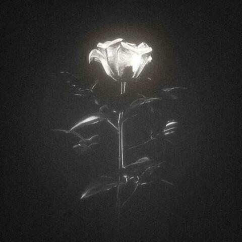 HEALING ERA album art