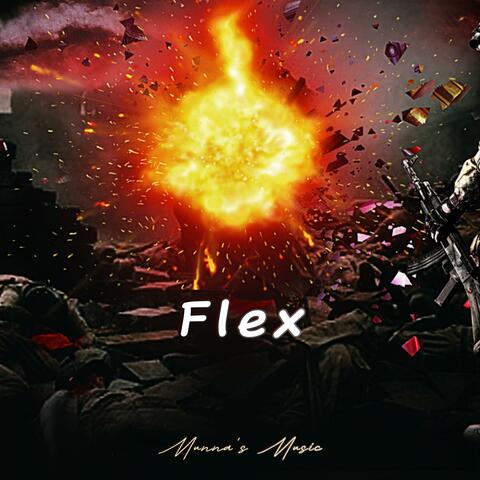 Flex album art
