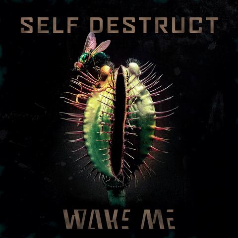 Self Destruct album art