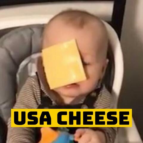USA CHEESE album art