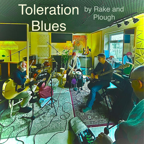 Toleration Blues by Rake and Plough album art