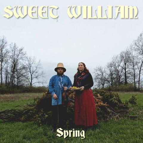 Spring album art