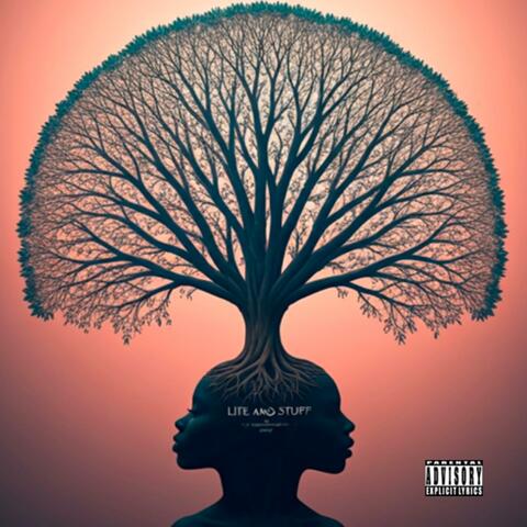 Life and Stuff album art