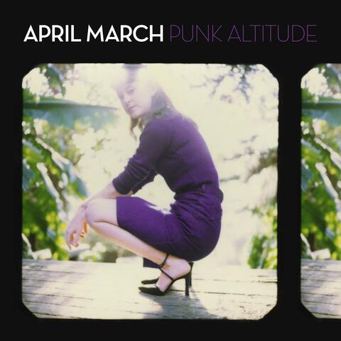 Punk Altitude album art
