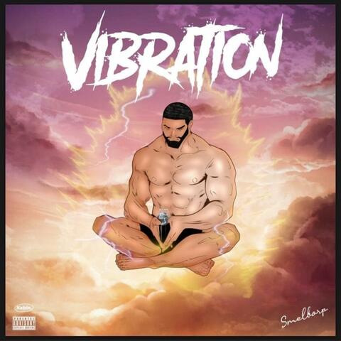Vibration album art
