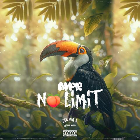 NO LIMIT album art