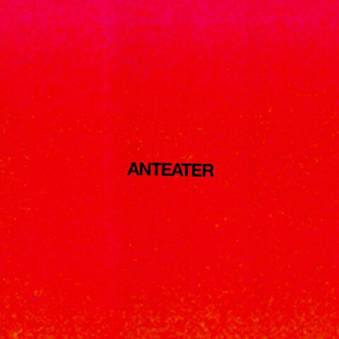 Anteater album art