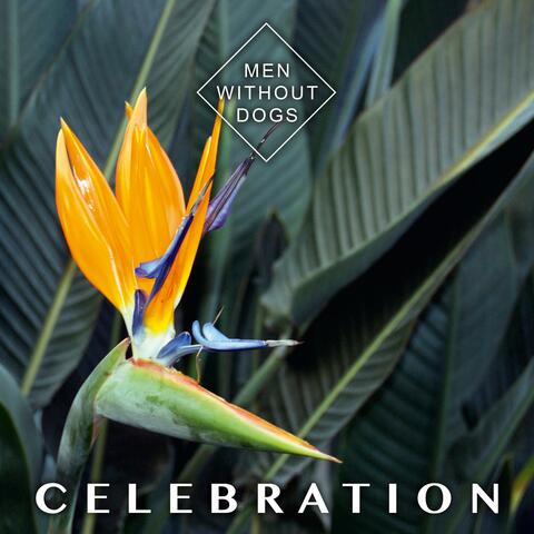 Celebration album art