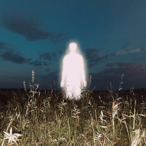 a shadow learns to walk (Remixes) album art
