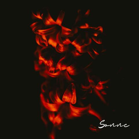 Sonne (Electronica) album art