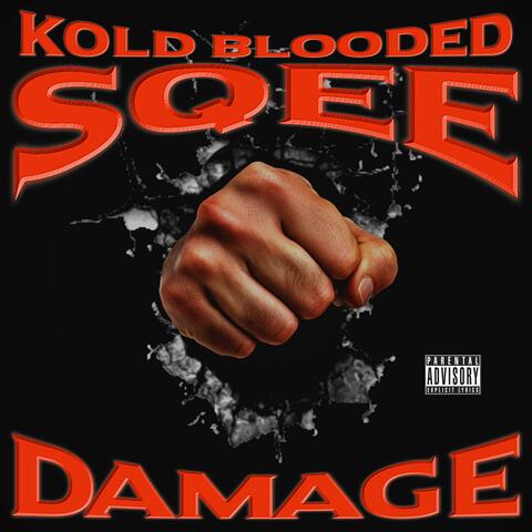 Damage album art