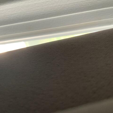 scrutiny album art