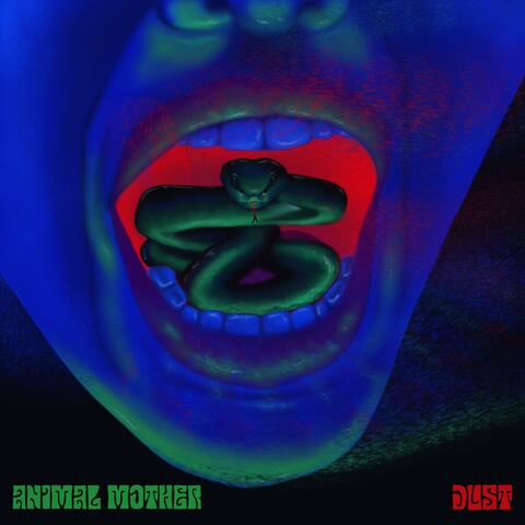 Dust album art