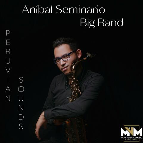 Peruvian Sounds album art