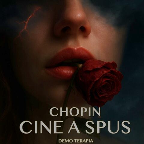 Cine a spus album art