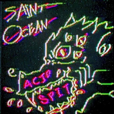ACID SPIT album art