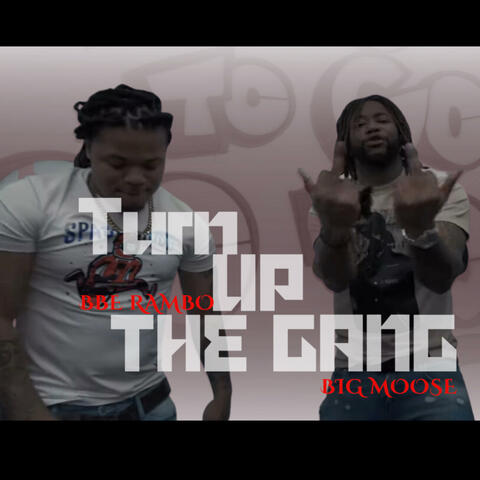Turn Up The Gang (feat. Big Moose 280) album art
