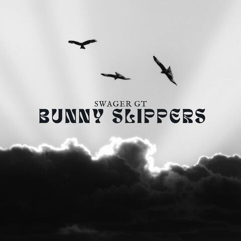 Bunny slippers album art